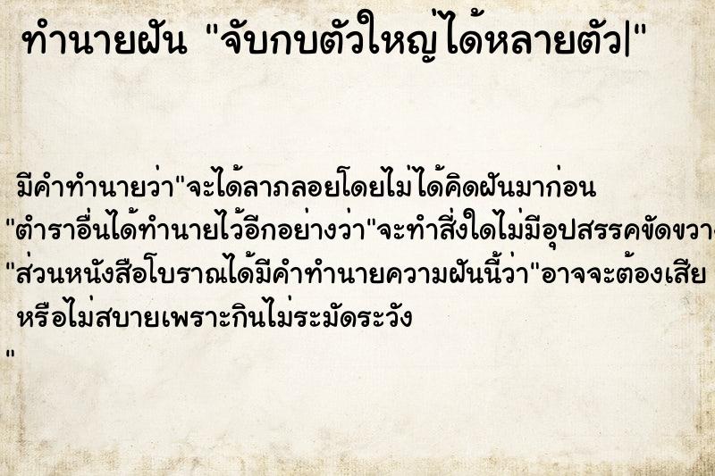 ทำนายฝัน จับกบตัวใหญ่ได้หลายตัว| ทำนายฝัน จับกบตัวใหญ่ได้หลายตัว|